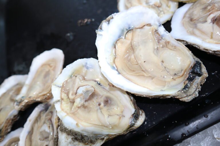 Oysters at Avanu on Flagler