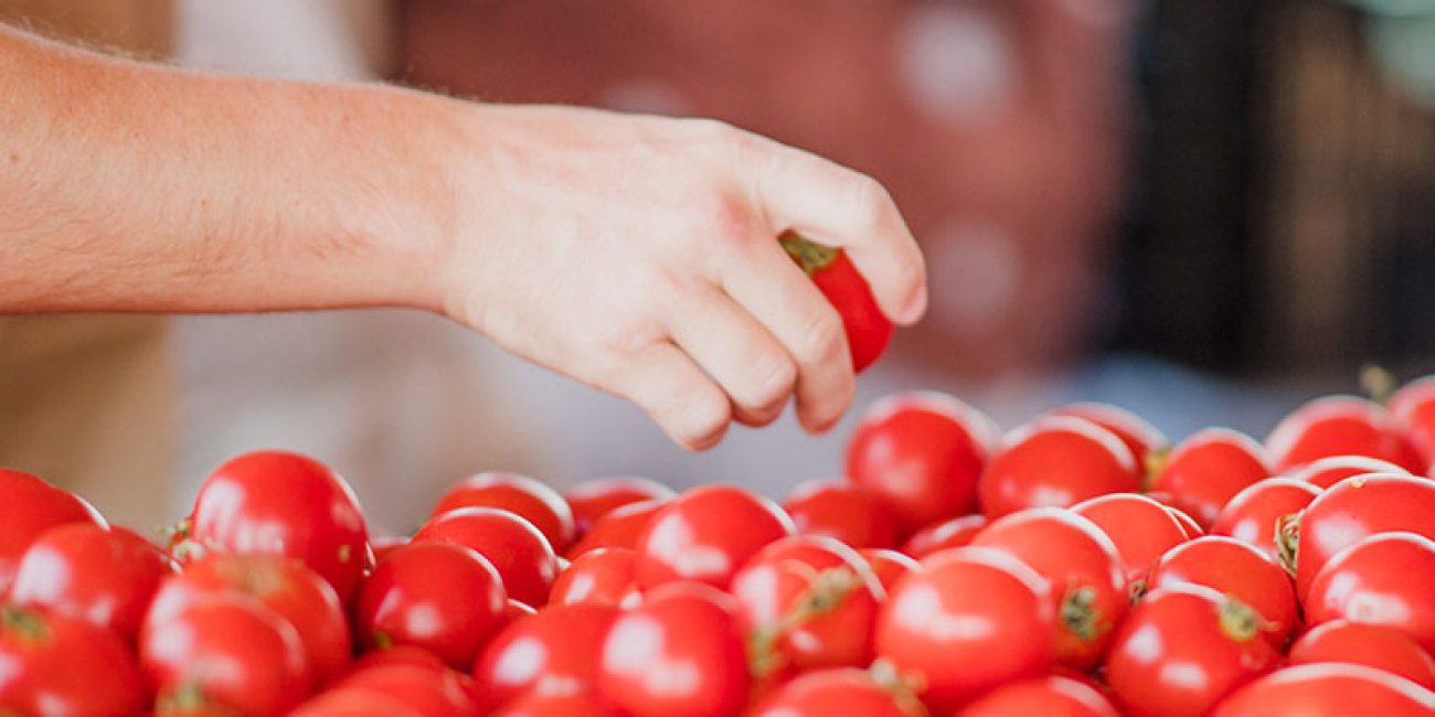 Fresh Finds: Exploring Local Farmers' Markets in the Daytona Area