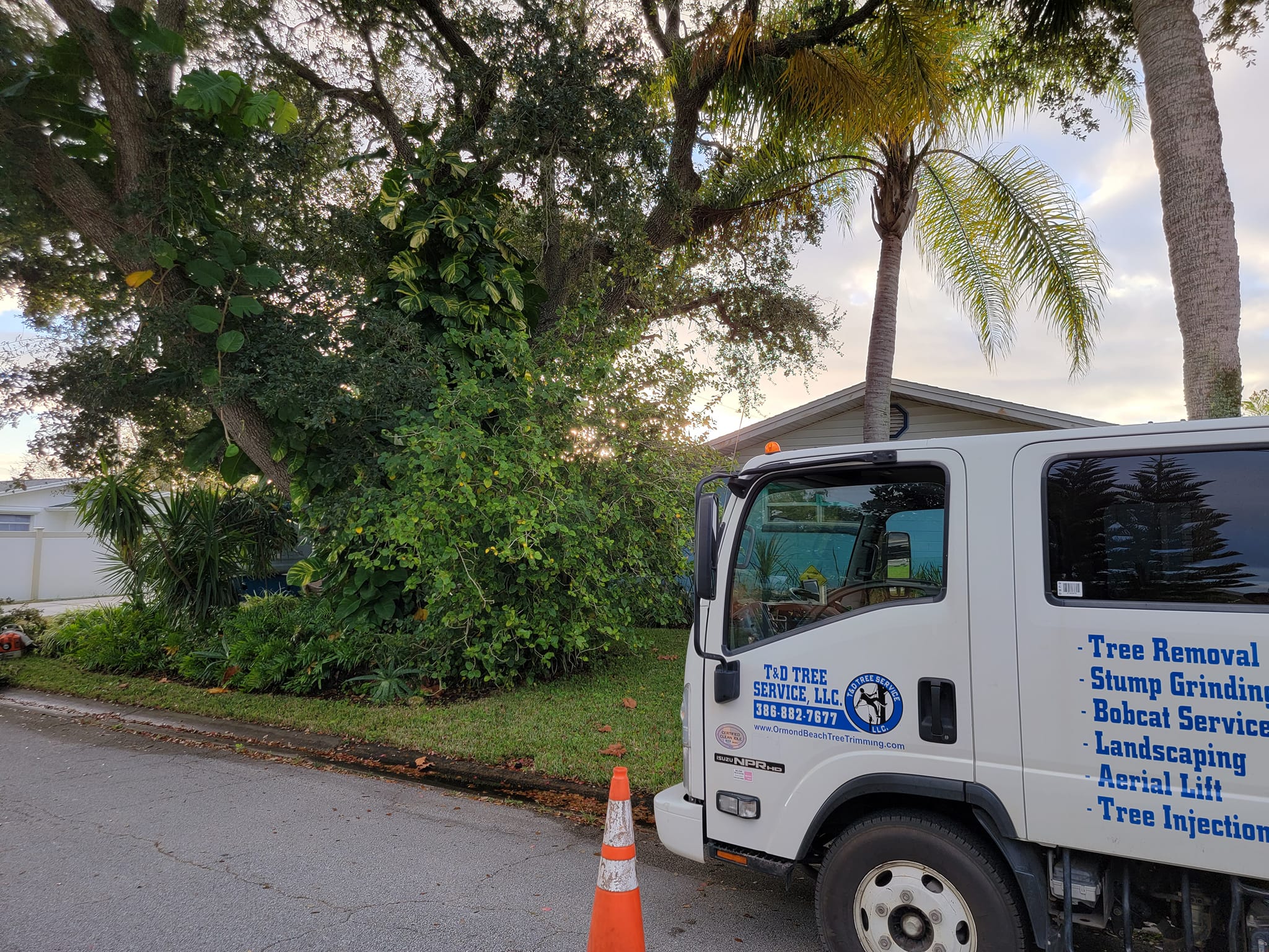 Comprehensive Tree and Land Clearing Services in Ormond Beach