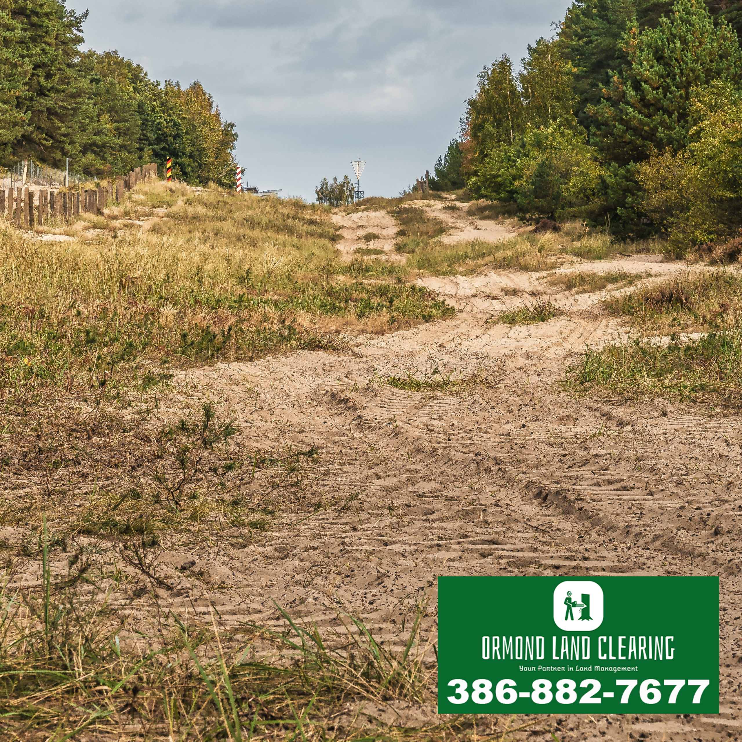 Professional Land Clearing Services in Ormond Beach